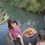 מסלול גשר הסורי ברמת הגולן – טיול ג׳יפים